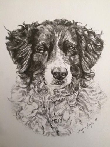 A4 Dog Portrait Drawing